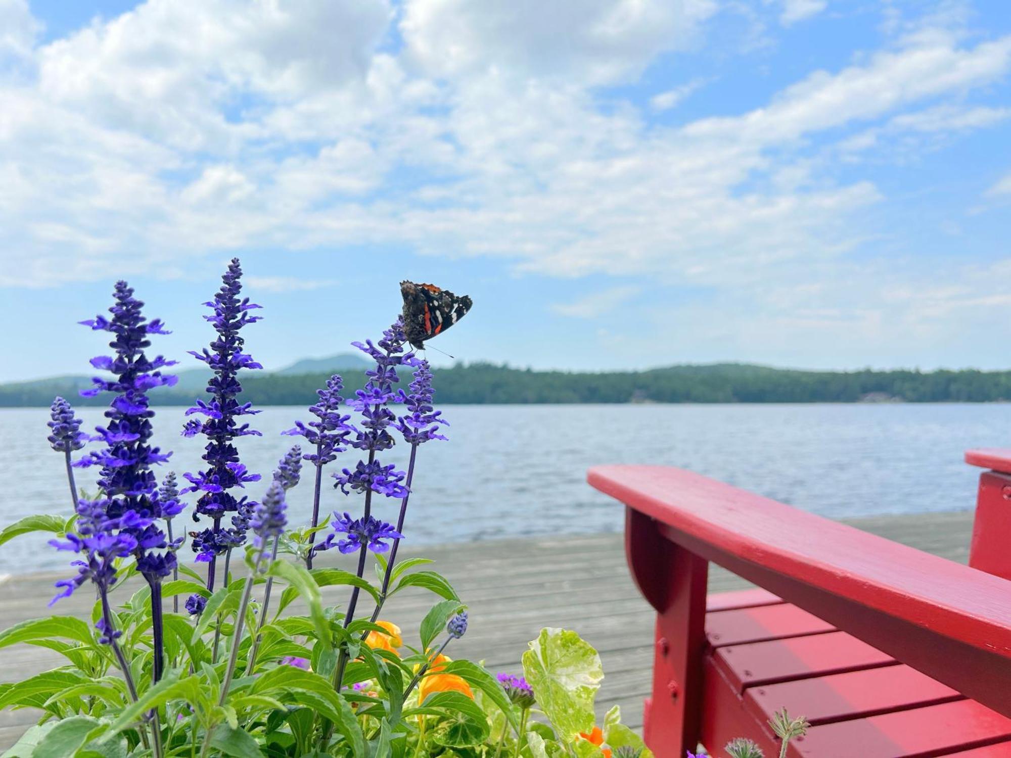 Paddler'S Rest Lakeside Cabins And Motel Long Lake Экстерьер фото
